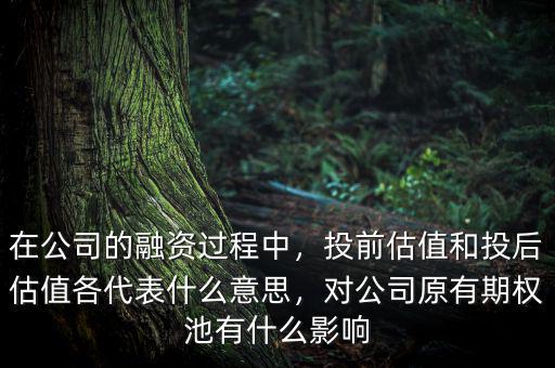 在公司的融資過程中，投前估值和投后估值各代表什么意思，對公司原有期權(quán)池有什么影響