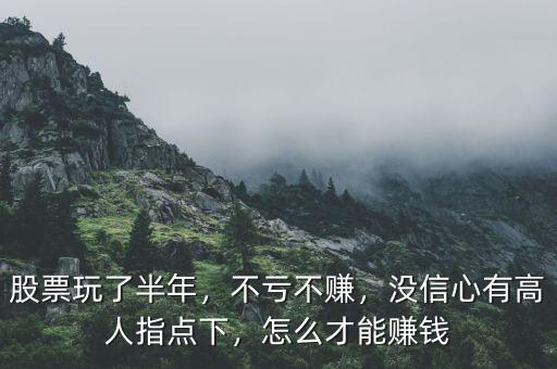 股票玩了半年，不虧不賺，沒信心有高人指點下，怎么才能賺錢
