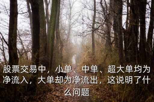 大單資金流出說(shuō)明什么,這說(shuō)明了什么問(wèn)題
