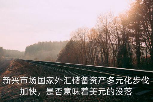 新興市場(chǎng)國家外匯儲(chǔ)備資產(chǎn)多元化步伐加快，是否意味著美元的沒落
