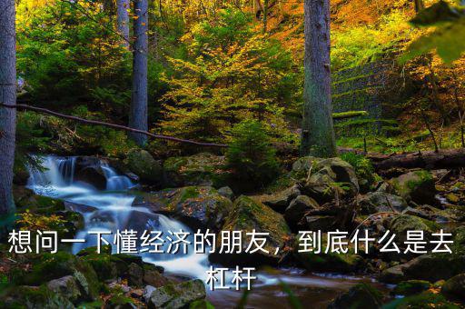 想問一下懂經(jīng)濟(jì)的朋友，到底什么是去杠桿