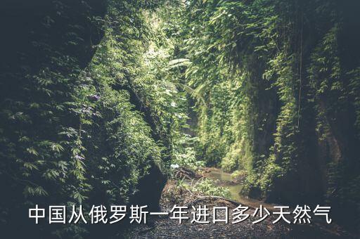 中國(guó)從俄羅斯一年進(jìn)口多少天然氣