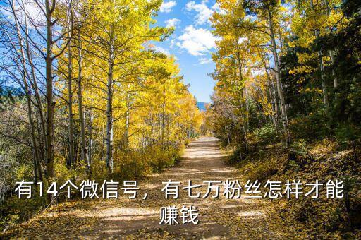 有14個微信號，有七萬粉絲怎樣才能賺錢
