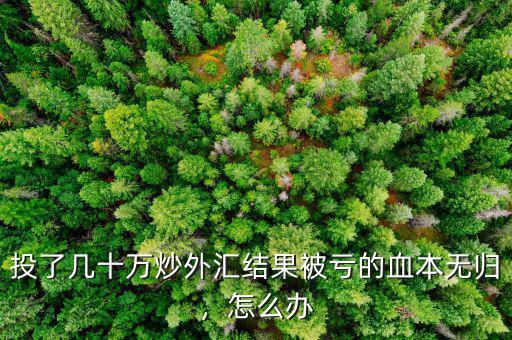 投了幾十萬炒外匯結(jié)果被虧的血本無歸，怎么辦