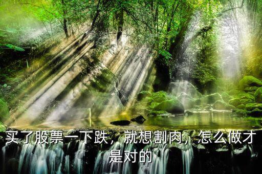 買(mǎi)了股票一下跌，就想割肉，怎么做才是對(duì)的