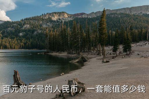 百元豹子號(hào)的人民幣，一套能值多少錢(qián)