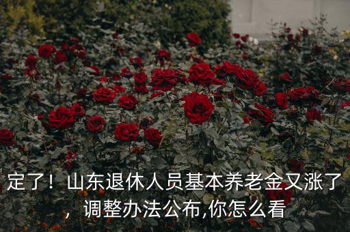 定了！山東退休人員基本養(yǎng)老金又漲了，調(diào)整辦法公布,你怎么看