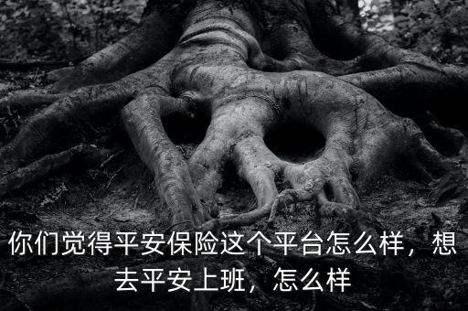 你們覺得平安保險(xiǎn)這個(gè)平臺(tái)怎么樣，想去平安上班，怎么樣