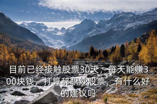 目前已經(jīng)接觸股票30天，每天能賺300塊錢(qián)，打算辭職炒股票，有什么好的建議嗎