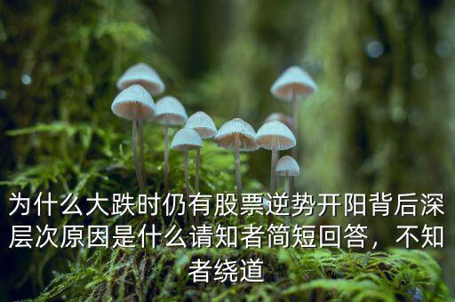 為什么大跌時(shí)仍有股票逆勢(shì)開陽(yáng)背后深層次原因是什么請(qǐng)知者簡(jiǎn)短回答，不知者繞道