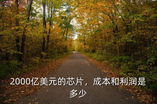 2000億美元的芯片，成本和利潤是多少