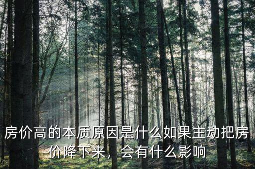 房?jī)r(jià)高的本質(zhì)原因是什么如果主動(dòng)把房?jī)r(jià)降下來，會(huì)有什么影響