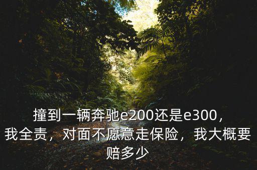 撞到一輛奔馳e200還是e300，我全責(zé)，對面不愿意走保險(xiǎn)，我大概要賠多少