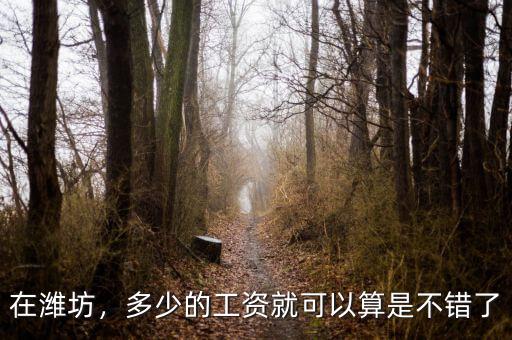 在濰坊，多少的工資就可以算是不錯(cuò)了