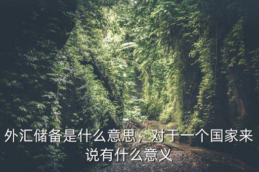 外匯儲(chǔ)備是什么意思，對(duì)于一個(gè)國(guó)家來(lái)說(shuō)有什么意義