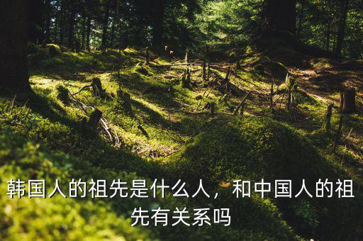 韓國(guó)人的祖先是什么人，和中國(guó)人的祖先有關(guān)系嗎