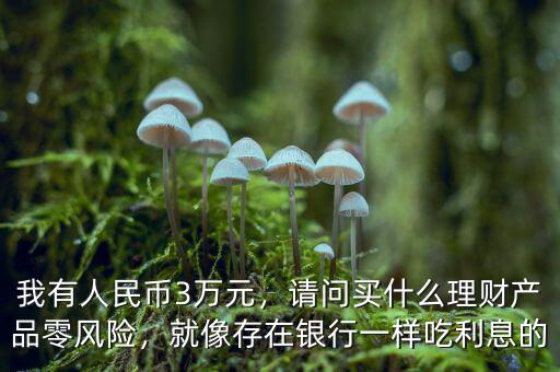 我有人民幣3萬(wàn)元，請(qǐng)問(wèn)買什么理財(cái)產(chǎn)品零風(fēng)險(xiǎn)，就像存在銀行一樣吃利息的