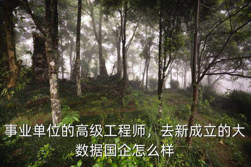 事業(yè)單位的高級(jí)工程師，去新成立的大數(shù)據(jù)國企怎么樣