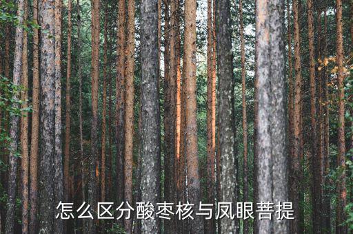 怎么區(qū)分酸棗核與鳳眼菩提