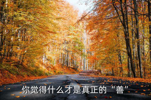 你覺得什么才是真正的“善”