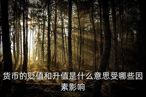 貨幣的貶值和升值是什么意思受哪些因素影響