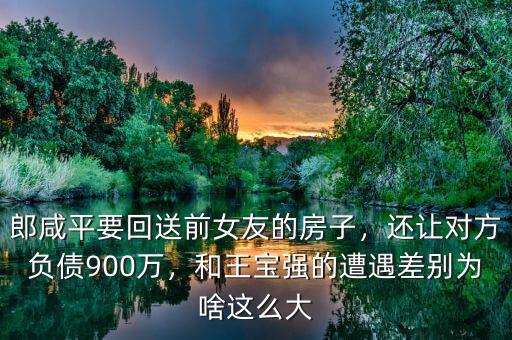 郎咸平要回送前女友的房子，還讓對方負債900萬，和王寶強的遭遇差別為啥這么大