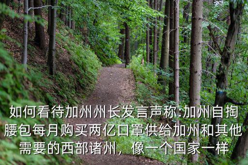 如何看待加州州長發(fā)言聲稱:加州自掏腰包每月購買兩億口罩供給加州和其他需要的西部諸州，像一個國家一樣