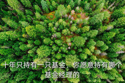 十年只持有一只基金，你愿意持有哪個(gè)基金經(jīng)理的