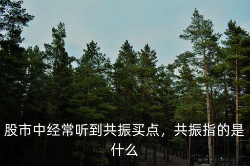 股市中經(jīng)常聽到共振買點(diǎn)，共振指的是什么