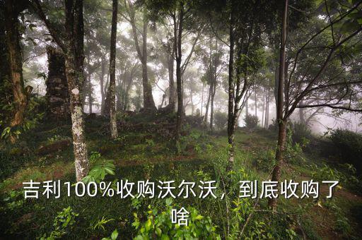吉利100%收購沃爾沃，到底收購了啥