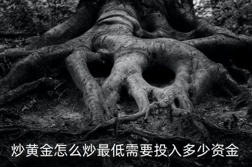 炒貴金屬要多少錢入市,最低需要投入多少資金