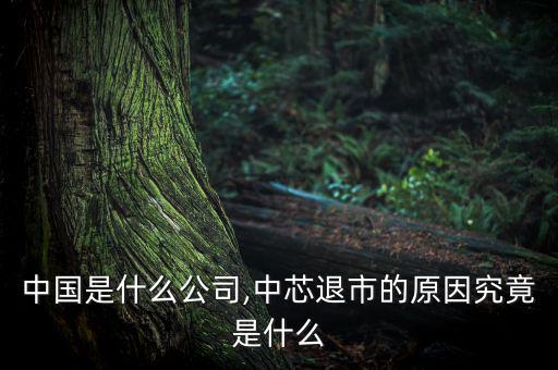 恒芯中國是什么公司,中芯退市的原因究竟是什么