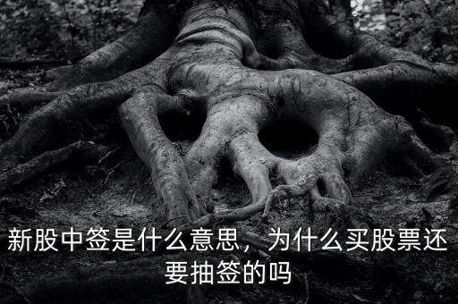 新股中簽是什么意思，為什么買股票還要抽簽的嗎
