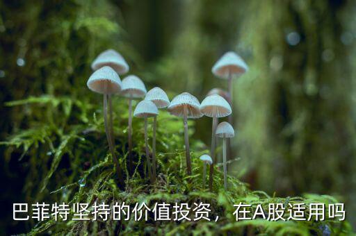 巴菲特為什么投資A股,巴菲特堅(jiān)持的價值投資