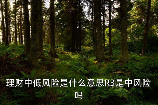 云財(cái)經(jīng)低風(fēng)險模型是什么意思,R3是中風(fēng)險嗎