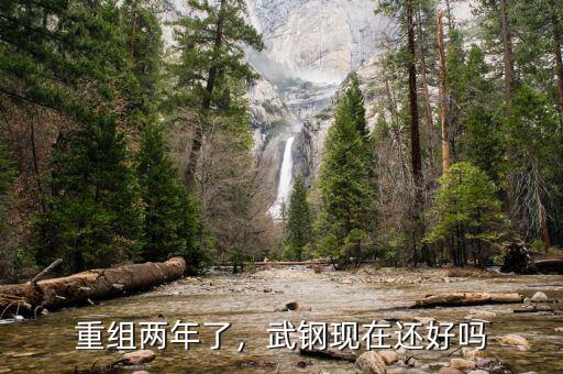 重組兩年了，武鋼現(xiàn)在還好嗎