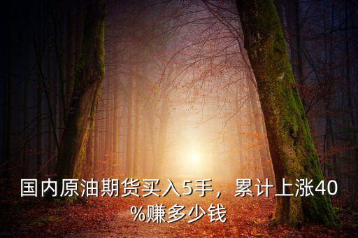 國內(nèi)原油期貨買入5手，累計上漲40%賺多少錢