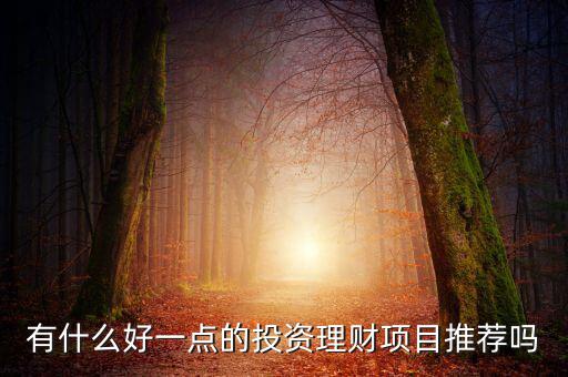 有什么好一點(diǎn)的投資理財項目推薦嗎