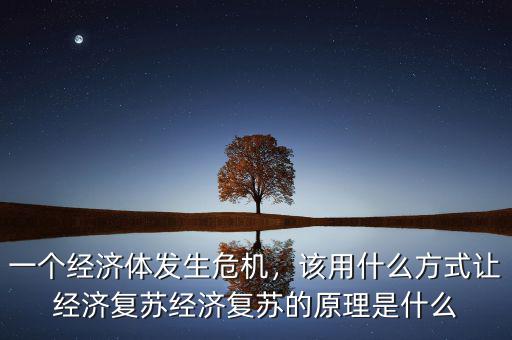 一個經(jīng)濟體發(fā)生危機，該用什么方式讓經(jīng)濟復蘇經(jīng)濟復蘇的原理是什么