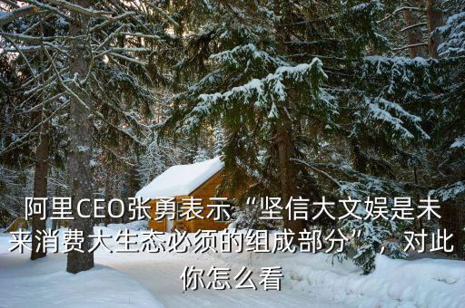 阿里CEO張勇表示“堅信大文娛是未來消費大生態(tài)必須的組成部分”，對此你怎么看