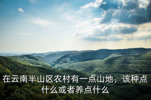 在云南半山區(qū)農村有一點山地，該種點什么或者養(yǎng)點什么