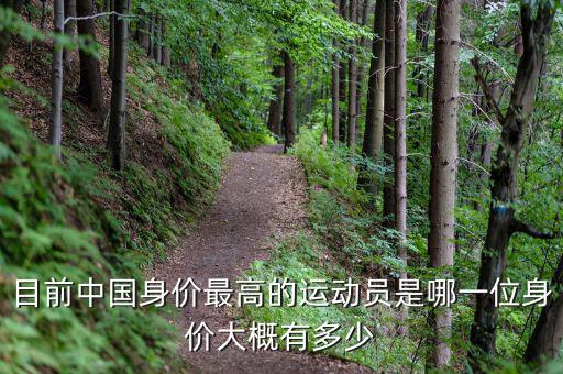 目前中國身價最高的運動員是哪一位身價大概有多少