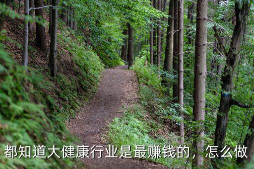 都知道大健康行業(yè)是最賺錢的，怎么做