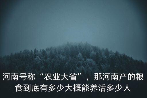 河南號稱“農(nóng)業(yè)大省”，那河南產(chǎn)的糧食到底有多少大概能養(yǎng)活多少人
