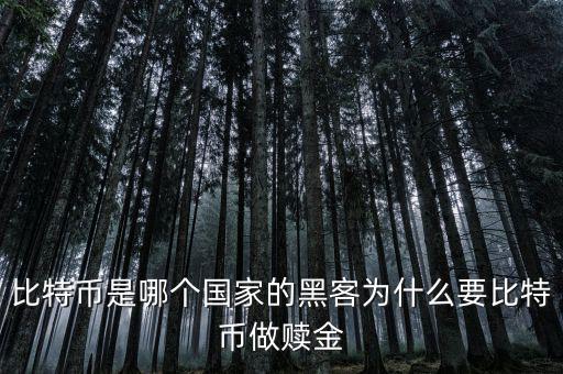比特幣是哪個國家的黑客為什么要比特幣做贖金