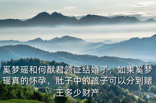 奚夢(mèng)瑤和何猷君領(lǐng)證結(jié)婚了，如果奚夢(mèng)瑤真的懷孕，肚子中的孩子可以分到賭王多少財(cái)產(chǎn)