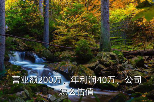 營(yíng)業(yè)額200萬(wàn)，年利潤(rùn)40萬(wàn)，公司怎么估值