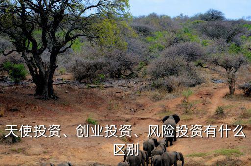 天使投資、創(chuàng)業(yè)投資、風(fēng)險(xiǎn)投資有什么區(qū)別