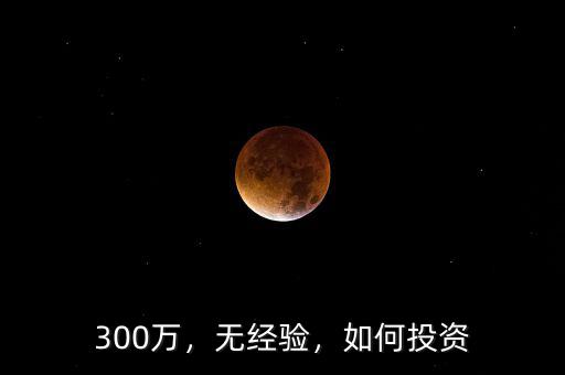 300萬，無經(jīng)驗(yàn)，如何投資