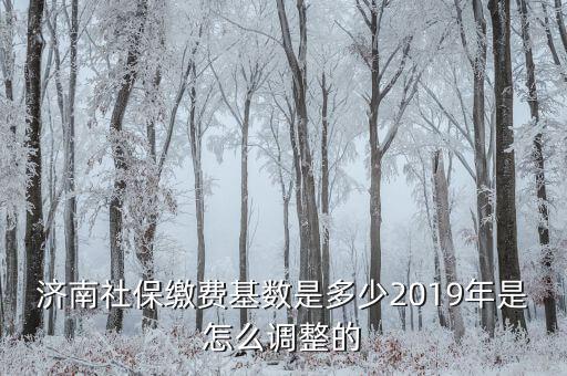 濟(jì)南社?；鶖?shù)怎么算,2019年是怎么調(diào)整的
